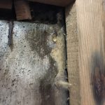 漏水確認